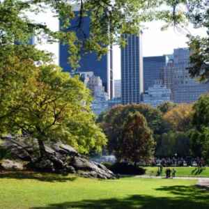 Apenas 6,9% das Áreas Urbanas Brasileiras são Cobertas por Vegetação