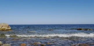 Aquecimento do Mar Báltico Sinaliza Perigo para os Oceanos Globais Aquecimento do Mar Báltico Sinaliza Perigo para os Oceanos Globais