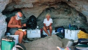 Captura-de-tela-2024-07-22-173256-300x172 "A Evolução é Mais Rápida do que Darwin Imaginava": Rosemary Grant