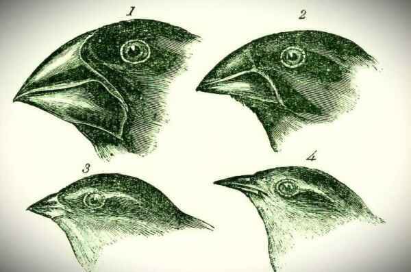 Captura de tela 2024 07 22 173716