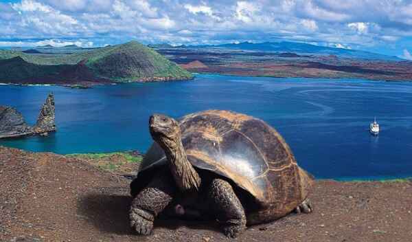 Captura de tela 2024 07 22 175035