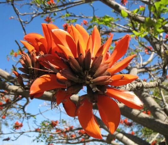 Captura De Tela 2024 07 22 185613