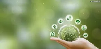 Governo Federal e Aliados Destinam R$ 21 Milhões para Projetos de Descarbonização Governo Federal e Aliados Destinam R$ 21 Milhões para Projetos de Descarbonização