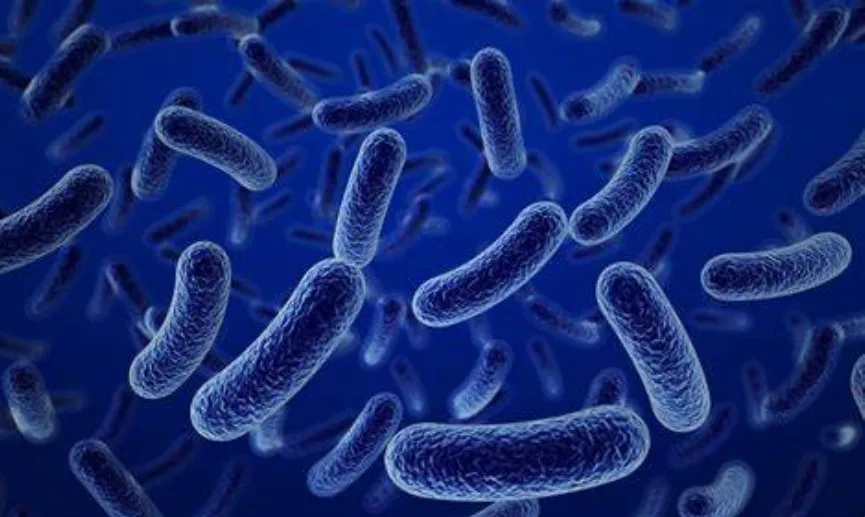 Microrganismo transforma Metano em Materiais Sustentáveis 1 Captura de tela 2024 07 23 160247