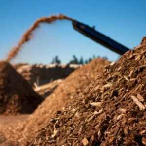 Fabricação de Ferro com Resíduos de Biomassa de madeira contribui na Descarbonização ferro