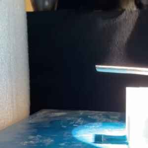 Gerador Solar a Vapor dessaliniza água em Impresso de Floresta em 3D