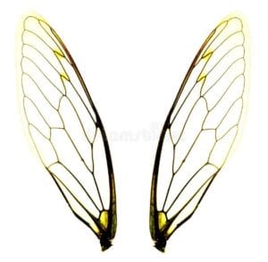 Captura de tela 2024 07 25 170135