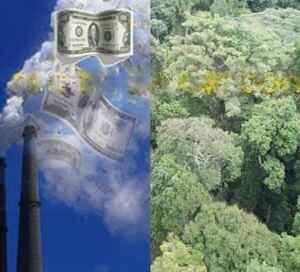 Como os ‘cowboys de carbono’ estão lucrando com a floresta amazônica protegida