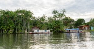 Captura-de-tela-2024-07-26-130917-300x159 Como os 'cowboys de carbono' estão lucrando com a floresta amazônica protegida