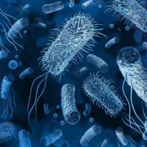 Produção de Polímero Biodegradável Através de Microrganismos Consumidores de Metano