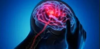 Neurocientistas Descobrem Circuitos Cerebrais Envolvidos no Efeito Placebo para Alívio da Dor Neurocientistas Descobrem Circuitos Cerebrais Envolvidos no Efeito Placebo para Alívio da Dor