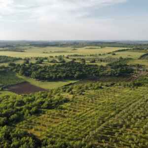 Fundo de Investimento do Agronegócio Aumenta 147% em 12 Meses