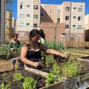 Governo Federal Sanciona Lei que Cria a Política Nacional de Agricultura Urbana e Periurbana