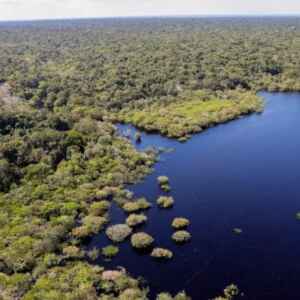 Governo Federal Percorre Biomas do Brasil para Discutir Emergência Climática com a População
