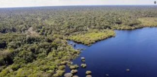 Governo Federal Percorre Biomas do Brasil para Discutir Emergência Climática com a População Governo Federal Percorre Biomas do Brasil para Discutir Emergência Climática com a População