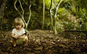 Captura de tela 2024 07 29 103714