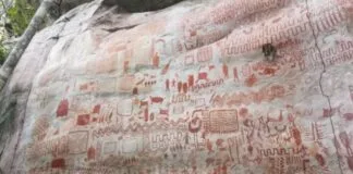 Arte Rupestre Milenar na Amazônia Revela a Complexidade dos Humanos com a Vida Selvagem arte