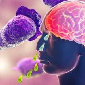 Amebas ‘comedores de cérebro’ matam quase 100% das vítimas