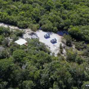 Falta de Base de Dados Desafia Automatização de Pesquisas Ambientais