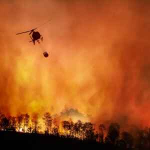 Lei de Prevenção a Incêndios Florestais Será Sancionada Nesta Quarta (31) incêndios