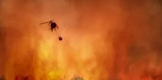 Lei de Prevenção a Incêndios Florestais Será Sancionada Nesta Quarta (31) incêndios