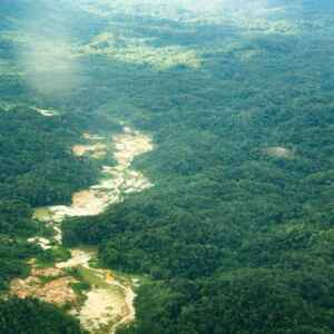 Desintrusão em Terra Yanomami é Reforçada pelo MPI e Operação Prossegue O Comitê Interministerial de Desintrusão de Terras Indígenas foi criado por decreto pelo presidente Lula e coordena ações de desintrusão em todo o país