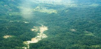 O Comitê Interministerial de Desintrusão de Terras Indígenas foi criado por decreto pelo presidente Lula e coordena ações de desintrusão em todo o país