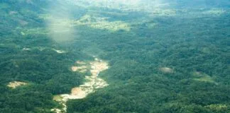 Desintrusão em Terra Yanomami é Reforçada pelo MPI e Operação Prossegue O Comitê Interministerial de Desintrusão de Terras Indígenas foi criado por decreto pelo presidente Lula e coordena ações de desintrusão em todo o país