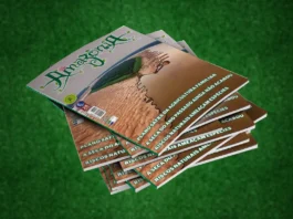 Revista Amazônia 131