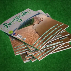 Revista Amazônia edição julho 2024 Revista Amazônia 131