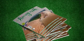 Revista Amazônia 131