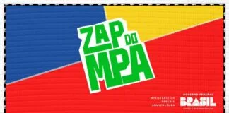 MPA Lança Novo Canal no WhatsApp: Conexão Direta com Pescadores e Aquicultores - Descubra Como Participar! MPA Lança Novo Canal de Comunicação no WhatsApp: Um Marco na Conexão com Pescadores e Aquicultores