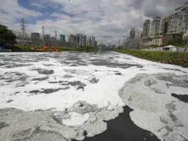 Alerta em São Paulo poluição no rio Tietê quase duplica em dois anos