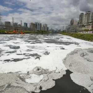 “Rio Tietê: Análise Completa da Degradação e Possíveis Soluções para Reviver o Gigante Perdido de São Paulo” Alerta em São Paulo poluição no rio Tietê quase duplica em dois anos