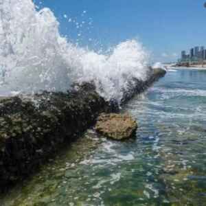 Segunda Plenária do Plano Clima Participativo Foca no Bioma Costeiro-Marinho