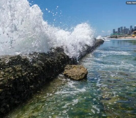 Captura De Tela 2024 08 01 113620