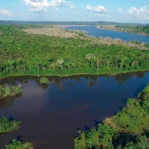Monitoramentos Identificam Culturas que Desmatam a Amazônia e a Localização