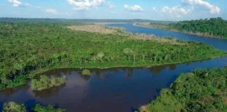 Monitoramentos Identificam Culturas que Desmatam a Amazônia e a Localização Monitoramentos Identificam Culturas que Desmatam a Amazônia e a Localização