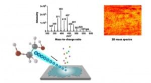 Captura-de-tela-2024-08-05-114330-300x166 Novo método detecta produtos químicos prejudiciais ao meio ambiente