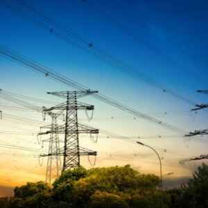 Grandes Empresas de Energia Omitem Danos à Biodiversidade