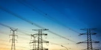 Grandes Empresas de Energia Omitem Danos à Biodiversidade Grandes Empresas de Energia Omitem Danos à Biodiversidade