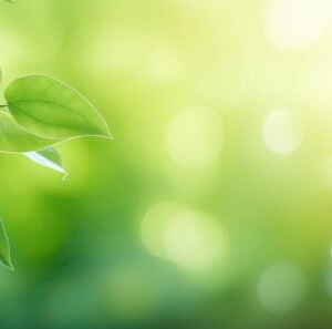 Estudo do Código Genético em Citros Aumenta a Produtividade