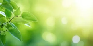 Estudo do Código Genético em Citros Aumenta a Produtividade Estudo do Código Genético em Citros Aumenta a Produtividade