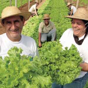 Disponíveis R$ 10 Milhões Para Empresas Desenvolvedoras de Projetos à Agricultura Familiar
