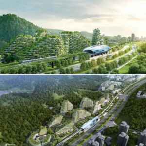 China está erguendo a primeira “cidade florestal” do mundo