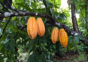 Captura de tela 2024 08 14 102030