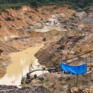 94% do Ouro Brasileiro Importado pela Europa Provém de Elevadas Áreas de Ilegalidade