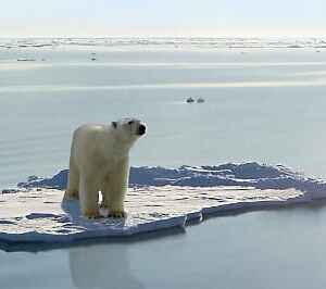 Crise Climática Global Precisa de Medidas Urgentes da COP 30