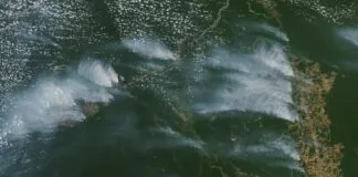 Incêndios no Pantanal e na Amazônia liberam fumaça equivalente a 5 anos de poluição em SP Incêndios no Pantanal e na Amazônia liberam fumaça equivalente a 5 anos de poluição em SP