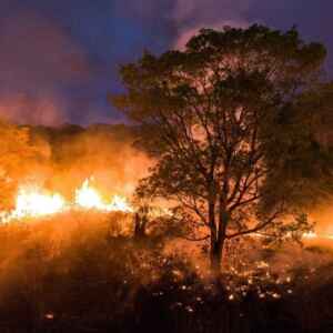 Mudanças Climáticas Elevam em 20 Vezes o Risco de Incêndios Florestais na Amazônia